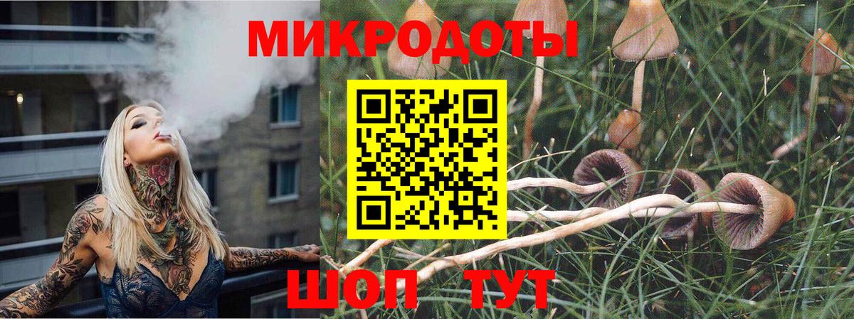 где купить наркотик  Вход с VPN  Павлово  Псилоцибиновые грибы MAGIC MUSHROOMS 