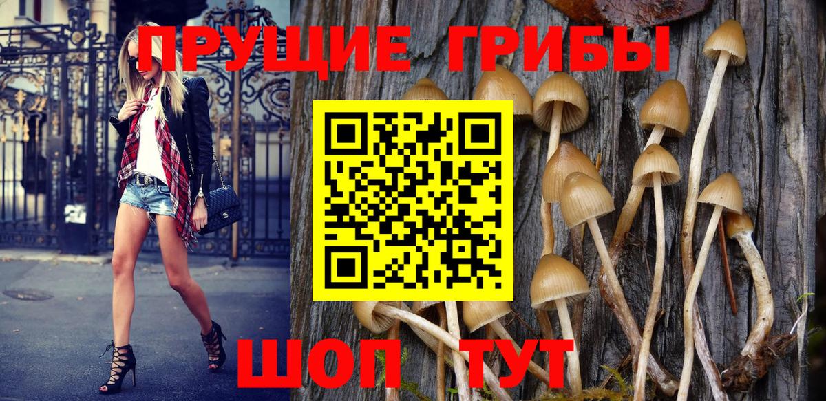 Псилоцибиновые грибы MAGIC MUSHROOMS Павлово